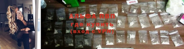 прущие крисы Армянск