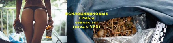прущие крисы Армянск
