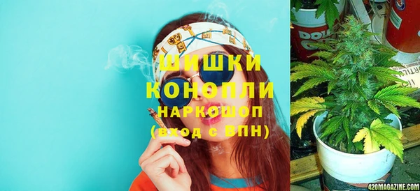 гидра Аркадак