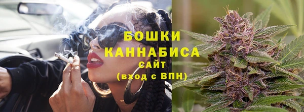 гидра Аркадак