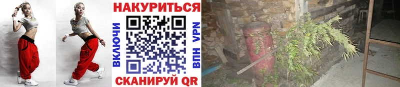 Бошки Шишки тримм  Осташков 